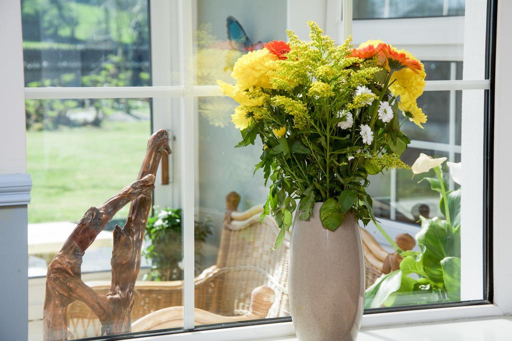 The Rose Garden Bed & Breakfast And Cafe Кенмер Екстер'єр фото